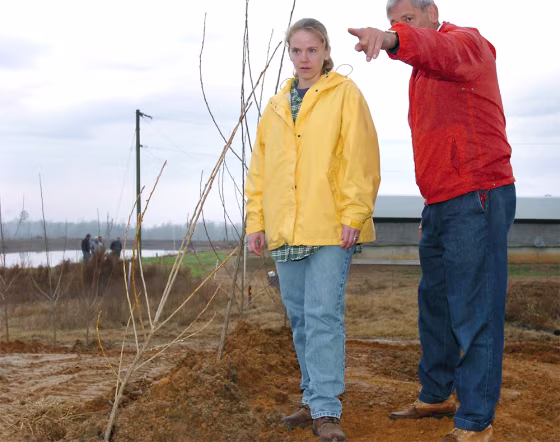 Young poplar trees have been planted on top of a hog waste lagoon in Whitakers, N.C. Researcher Frank Humenik shows the project to Sierra Club staffer Courtney Washburn.