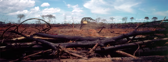 A tractor clears Amazon rainforest to make way for soybeans near the Xingu Indian Reservation in Brazil.