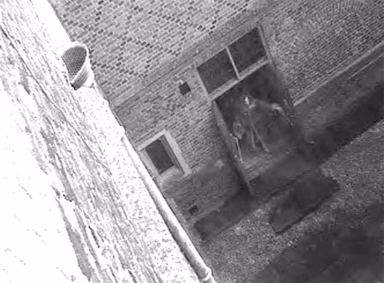 Image: Hampton Court Palace ghost