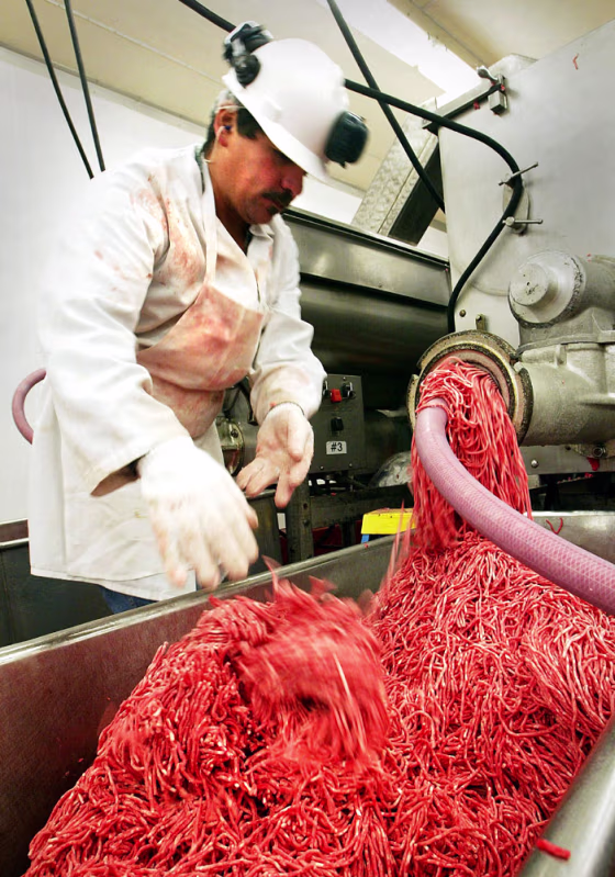First Case Of Mad Cow Disease Confirmed In Washington State