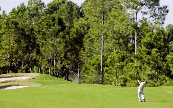 Image: Golf