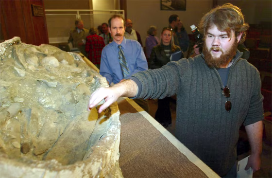 WHALE FOSSIL