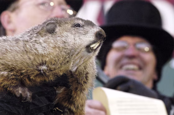 Punxsutawney Phil Makes His Annual Appearance
