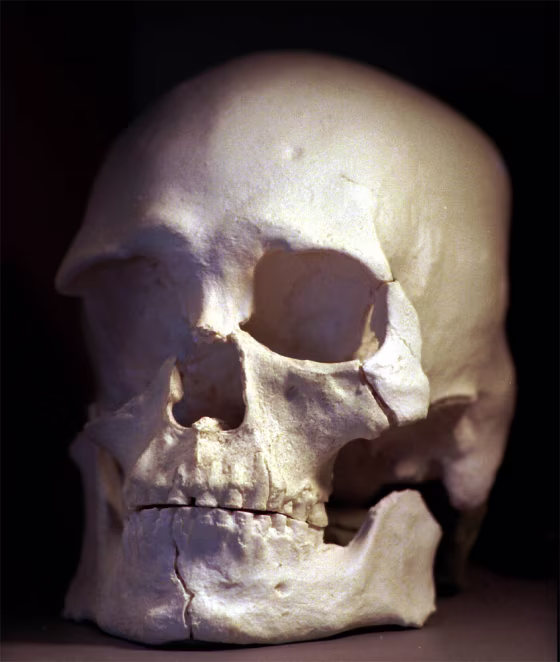 KENNEWICK MAN