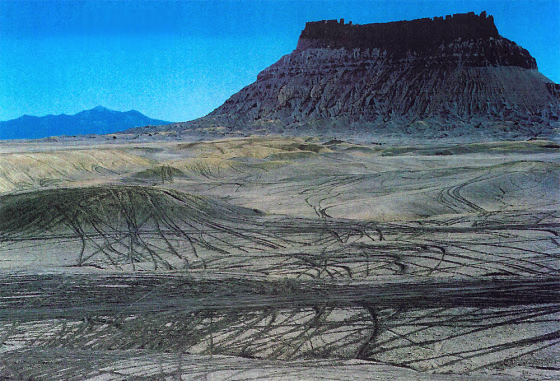 This is one of several photos introduced as evidence in the case before the Supreme Court. Conservationists say the tracks were made by off-road vehicles.