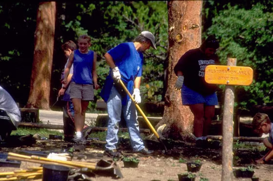 Image: Volunteers