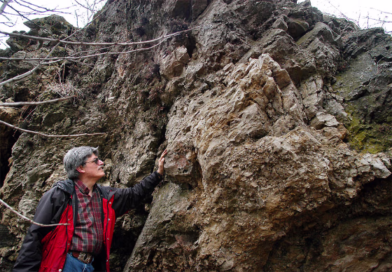 Geologist Bill Cordua stands near some angular upheavals in rock formations&nbsp;near Waverly, Wis. Cordua says the formations give clues that something cataclysmic occurred in the area. Geologists have now determined that a meteorite struck the site 450 million years ago.
