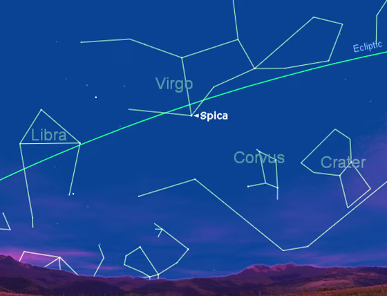 This sky chart shows Spica's location at 9:30 p.m. local time Friday, as seen from midnorthern latitudes. The stick figure shows the H.A. Rey interpretation. Rey pictured Virgo lying on her back and stretched out along the ecliptic.