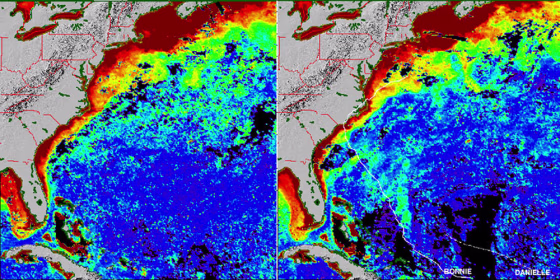 NASA's SeaWiFS instrument captured before, left, and after images of&nbsp;Hurricane Bonnie off the U.S. coast in August 1998. The green represents phytoplankton blooms, with a wider stretch in the 'after' view.