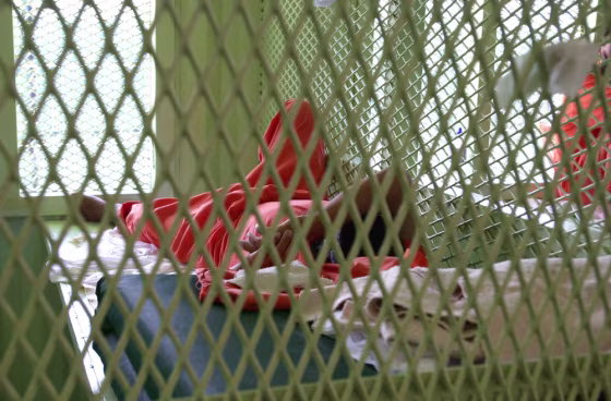 DETAINEE AT CAMP DELTA