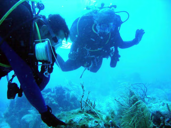 NASA crewmembers&nbsp;work with&nbsp;a cave reel line during a training session underwater.