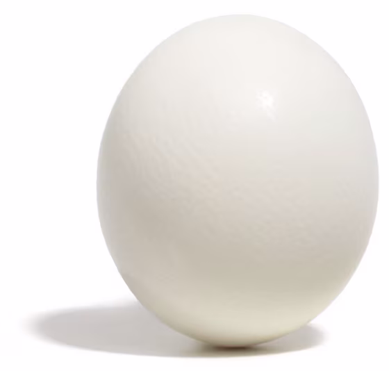 Image: Egg
