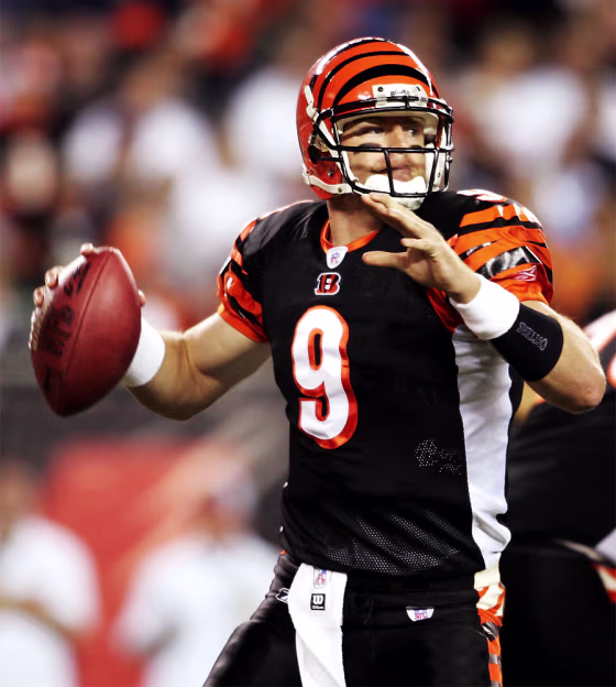Dolpnis v Bengals