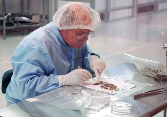 Don Burnett, principal investigator for NASA's Genesis mission, picks through shards of solar-wind samples from the broken spacecraft.