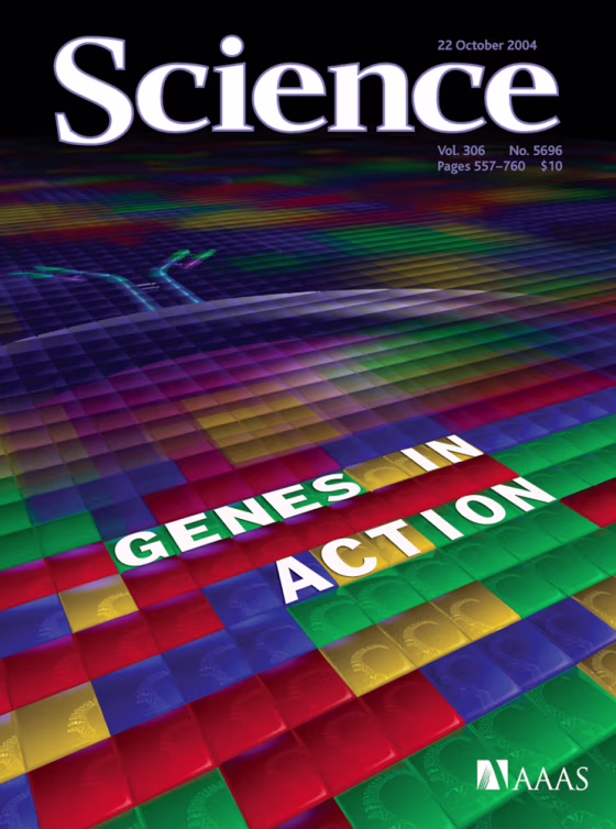 A computational method enables rapid analysis of the blocklike pattern of genetic variation in the mouse genome, which can be used in analyzing mouse models of human disease. The cover stories in the journal Science explore new approaches to understanding how genes are expressed and how they function.