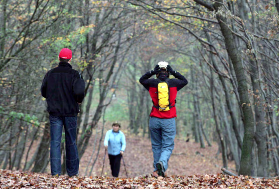HIKERS