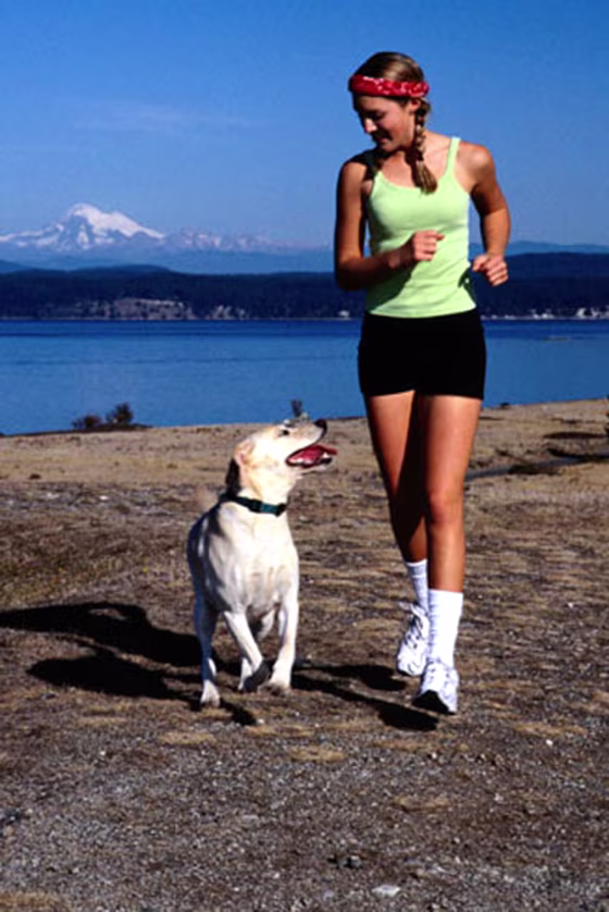 When it comes to sticking with an exercise routine, dogs can&nbsp;be a major source of motivation and accountability for their owners.
