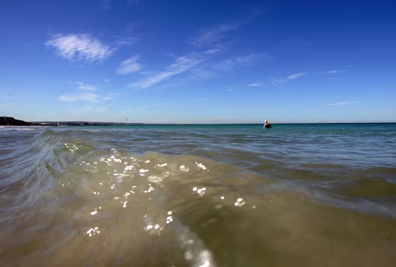 Memorial for South Australian Shark Attack Victim