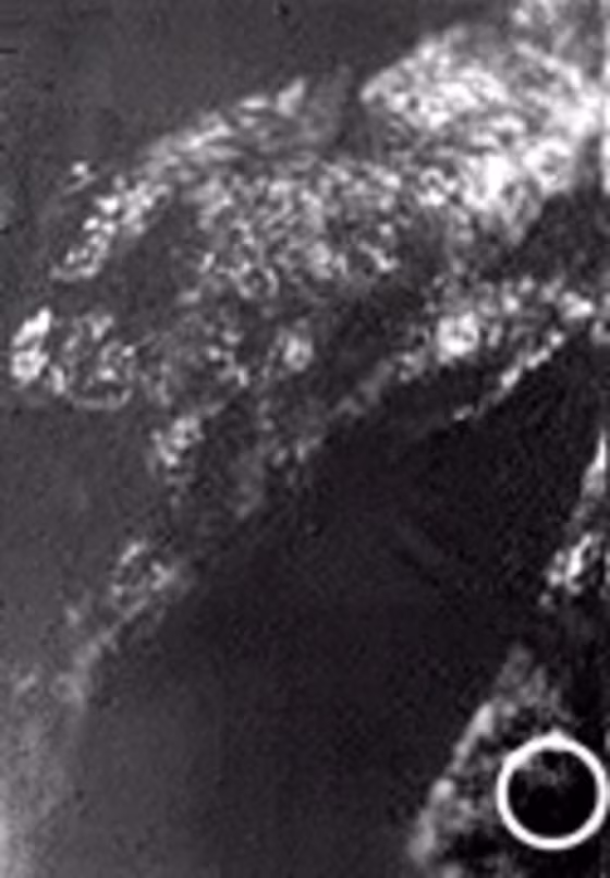 This picture, snapped by the Huygens probe during its descent to Titan's surface, shows a patchwork of light and dark regions. The white circle highlights the area where Huygens is thought to have landed.