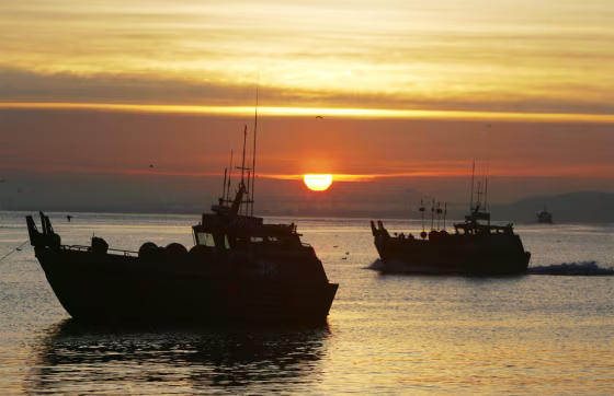 HERRING FISHING BOATS
