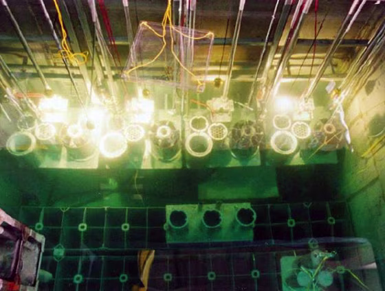 NUCLEAR FUEL RODS