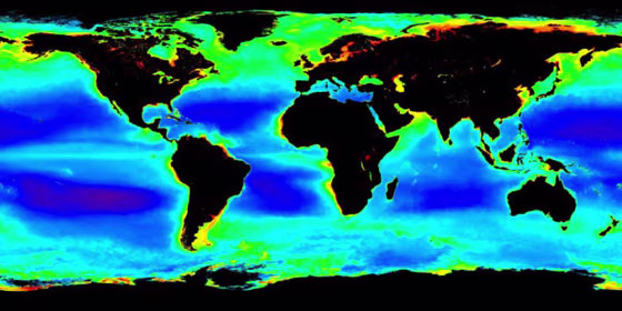 This visualization shows global chlorophyll concentrations. The data were gathered with the MODIS instrument on NASA’s Aqua spacecraft between July 1, 2002, and Dec. 31, 2004.