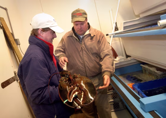 Jeff Grolig of River Falls Seafood delivers a&nbsp;gargantuan&nbsp;lobster nicknamed Donovan to Kurt Friesland of J.J. McDonnell in Jessup, on Wednesday, prior to its release.