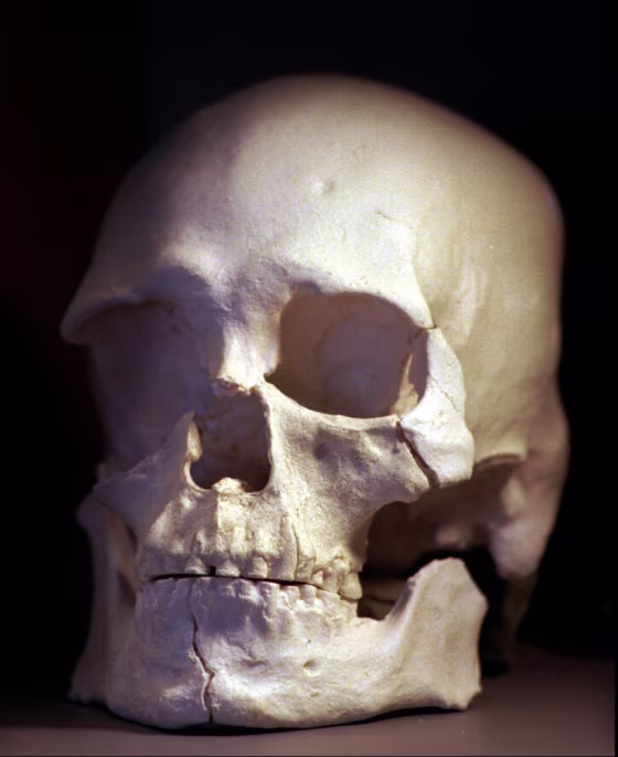 KENNEWICK MAN