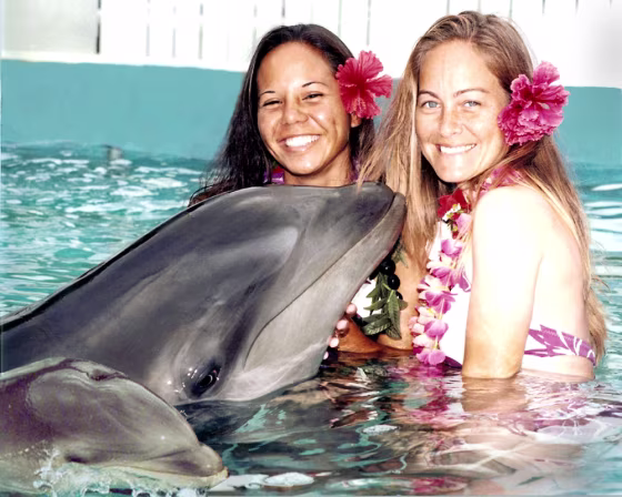 WHOLPHIN GIVES BIRTH  AT SEA LIFE PARK BY DOLPHIN DISCOVERY