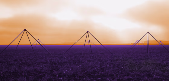 Data from antennas in the Low Frequency Array, shown here, will be analyzed by a supercomputer.