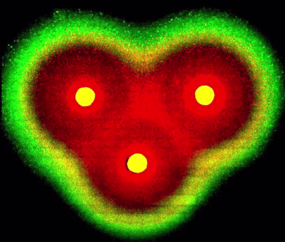 Researchers used&nbsp;"synthetic biology" to command living cells to resemble a heart.