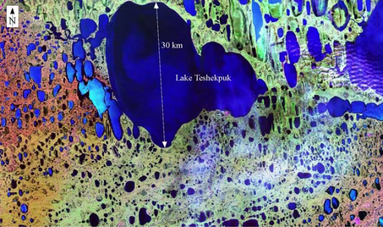 This false-color birds-eye view of the largest oriented lake in northern Alaska was taken by LANDSAT. The lake is actually several merged lakes.