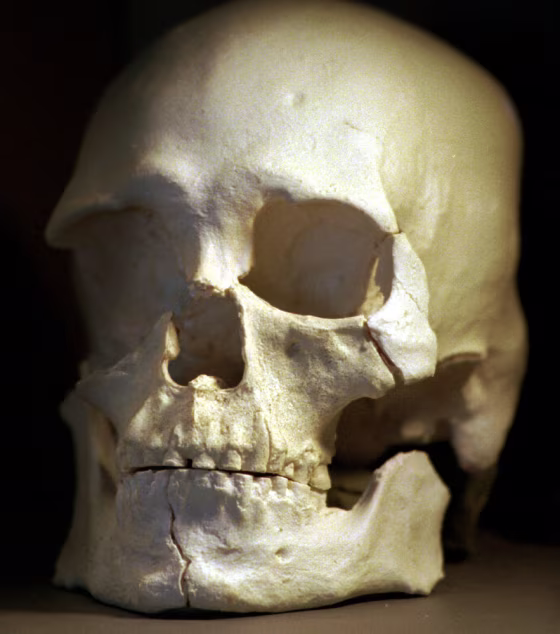 KENNEWICK MAN