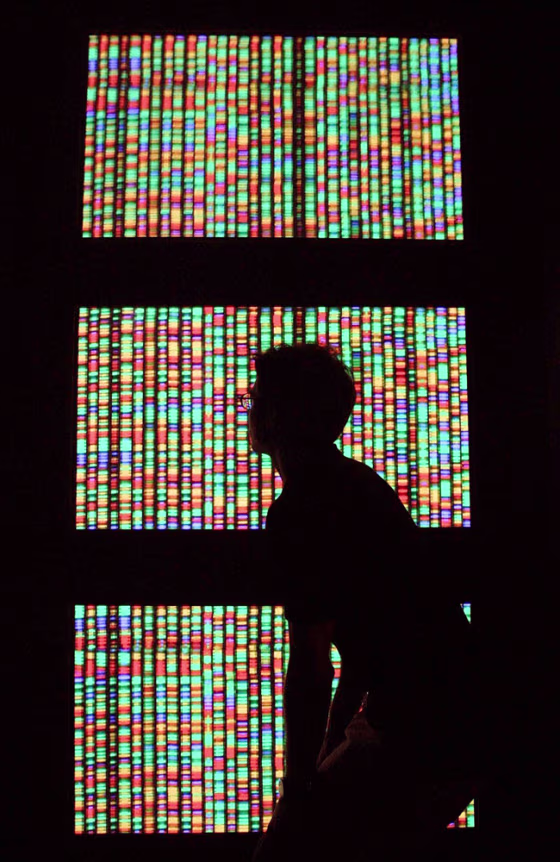 DNA Double Helix Turns Fifty