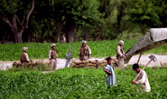 Afghan children work in a field next to a Marine mortar position in Afghanistan's eastern Kunar province on Saturday. Hundreds of&nbsp;U.S. and Afghan special forces are battling to retake&nbsp;a valley controlled by militants suspected of ambushing a team of U.S. commandos and shooting down a special forces helicopter&nbsp;in June. 