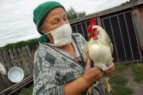 A local woman wearing mask holds a cock