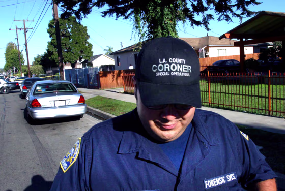 CORONER