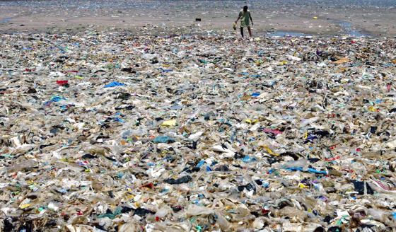 Rag picker collects plastic bags from garbage disposal area next to beach in Mumbai