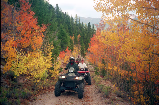 Connie Bauer, front, Mike Dean, center, and Roy Yablonka, rear, participate in the Buena Vista, Colo., ATV Historical Color Tour while riding through an Aspen canopy in the old mining district of Twin Lakes Village Sept. 3, 2003.