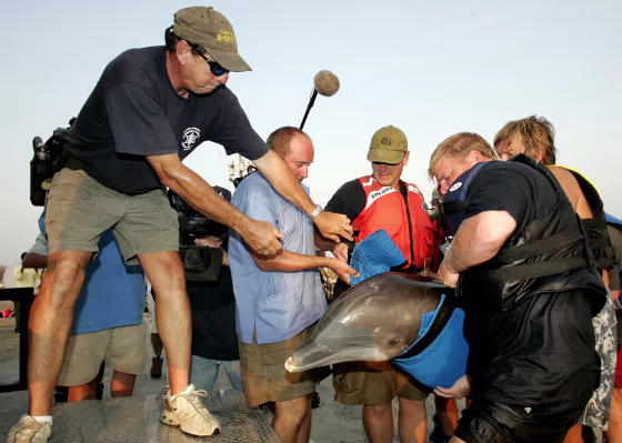 National Oceanic and Atmospheric Association personnel as well as Gulfport Marine Oceanarium staff carry a dolphin from the Oceanarium, Jill, to a transport truck in Gulfport, Miss. on Tuesday. The dolphins were washed out of the Oceanarium's tank during Hurricane Katrina.