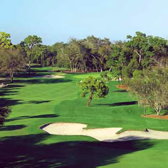 Copperhead course in Palm Harbor, Fla.