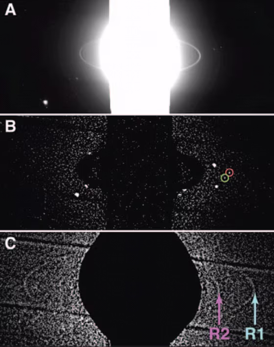 Three pictures illustrate how the new rings were found: (A) The reflected glare of Uranus itself is blotted out, revealing the planet's rings and moons. (B) Further processing enabled the astronomers to identify two extremely faint moons, Perdita and Cupid, highlighted here by colored circles. (C) Still more enhancements revealed two previously unseen rings, labeled R1 and R2.