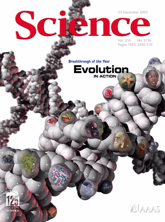 Science's cover image symbolizes the host of genetic studies and field observations that have shed light on the mechanisms that drive Darwinian evolution. A model DNA molecule is emblazoned with species representing key advances of 2005, including a stickleback fish; the influenza virus; a European blackcap; a chimpanzee; a fruit fly; and three members of Homo sapiens, including Charles Darwin.