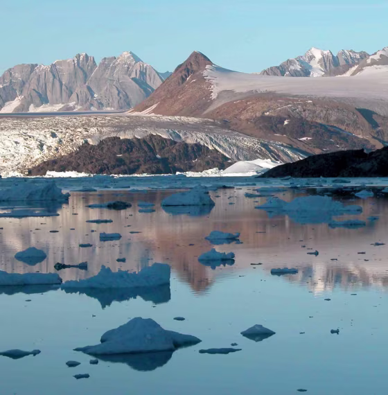 Large numbers of icebergs are calved each year from the fast-flowing terminus of the Kangerdlussuaq Glacier in East Greenland. Iceberg production is a major form of mass loss from ice sheets. The bergs add fresh water to surrounding seas when they melt.