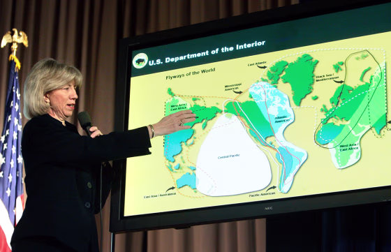Cabinet Members Discuss Bird Flu Preparation