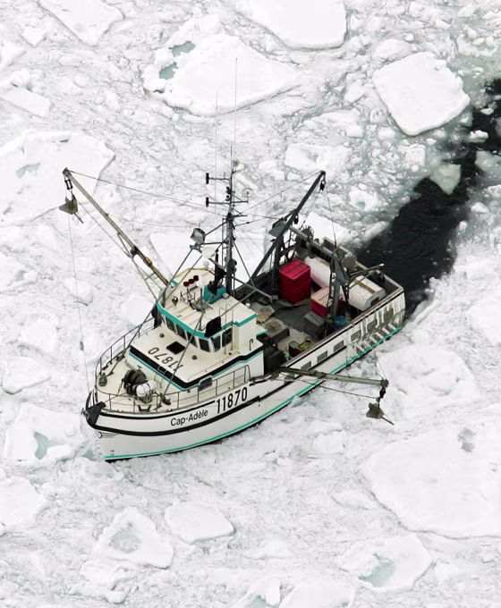 A fishing boat moves through ice floes in the Gulf of St. Lawrence