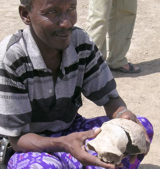 The "intermediate"&nbsp;hominid skull is&nbsp;held by Gona project member Asahmed Humet, who discovered the fossil on Feb. 16 near the Ethiopian city of Gawis.