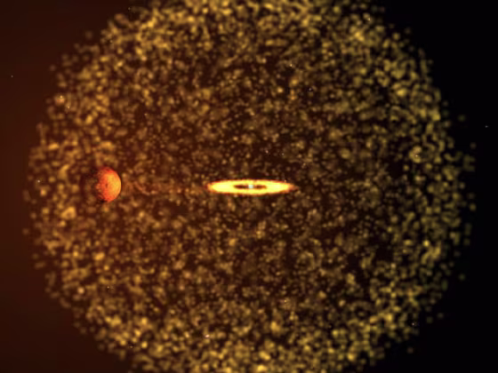This illustration shows the binary system as it might appear if we could view it from nearby. It shows the red giant (left) and the white dwarf (center) with a ring of accreting material around it, just after the exploded gases have passed the red giant. 
