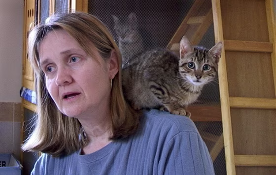 Gloria Lauris, founder of the Egyptian Mau Rescue Organization, with a native Egyptian Mau kitten. 