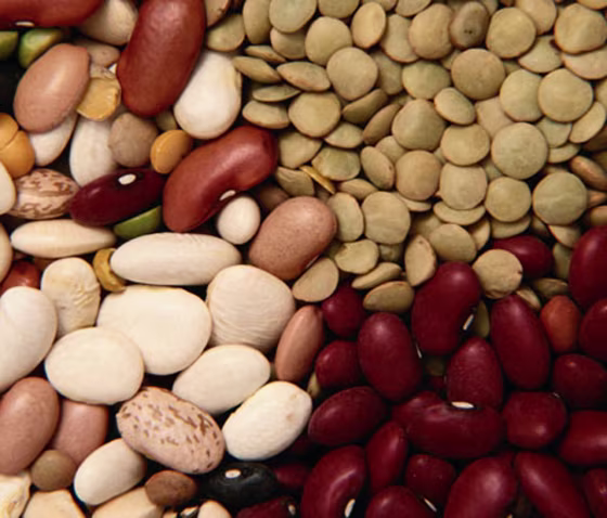 Researchers have found that adding two types of bacteria to soaking beans — Lactobacillus casei and L. plantarum — dramatically reduces the compounds that cause flatulence.